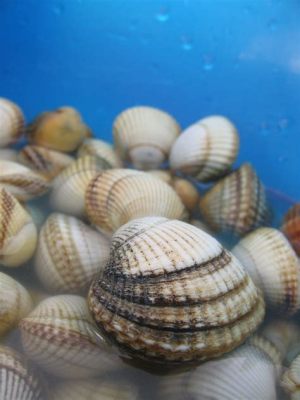  Cockle A Bivalve Mollusk With Delicate Shells Hiding Powerful Filtering Abilities!